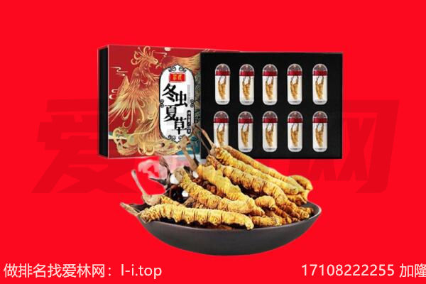桂林市叠彩回收虫草.jpg